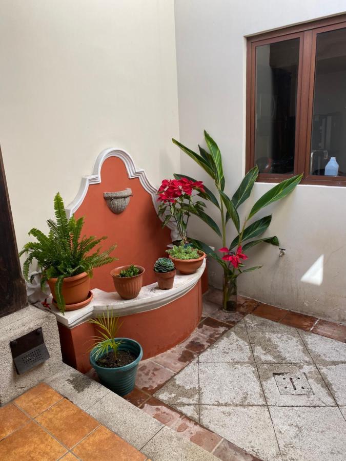 Suite Don Pedro: Hermoso Loft Con Parqueo Gratis! Antigua Екстериор снимка